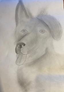 12 Липницкий Александр